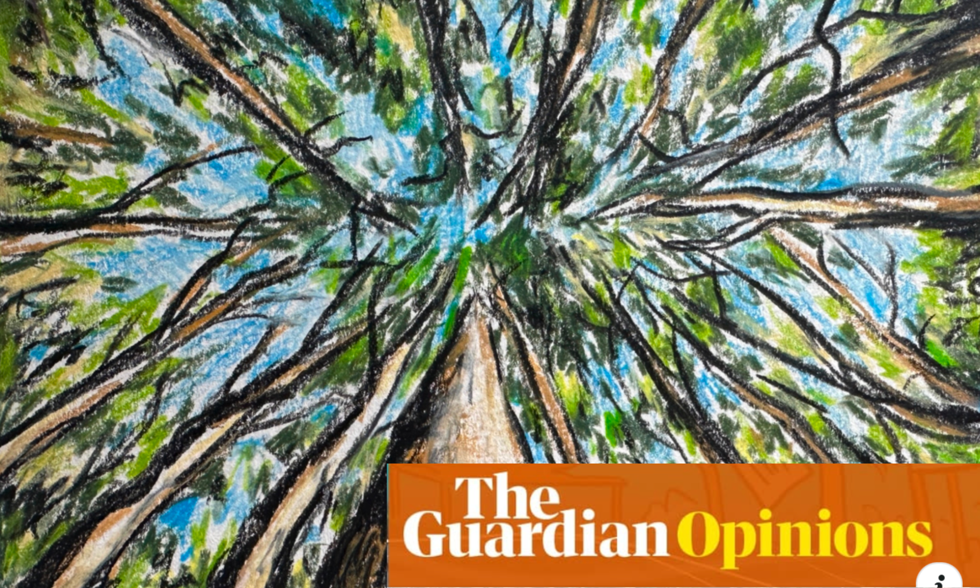 Eucalypts and Climate Change